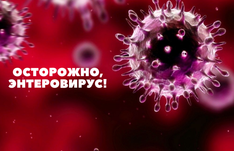 Профилактика энтеровирусной инфекции Профилактика энтеровирусной инфекции.